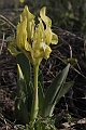 Resize of _MG_0920